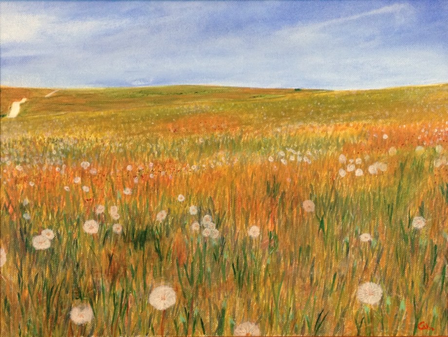 Little Big Horn (2012)